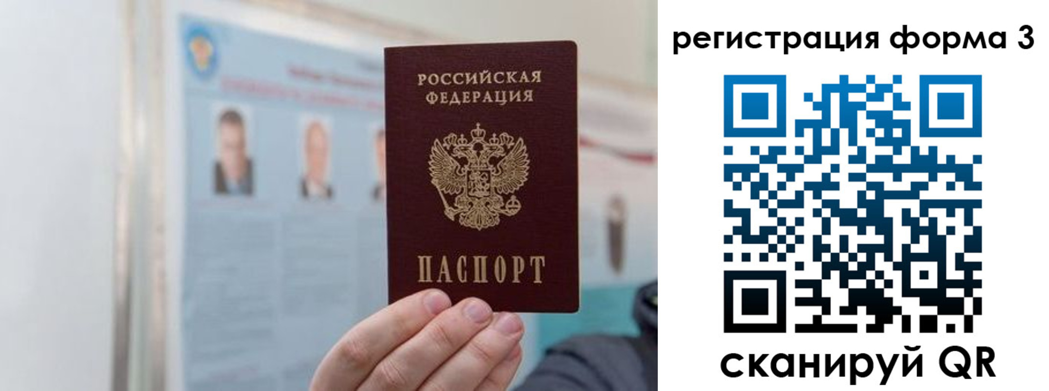 прописка в Полярных Зорях